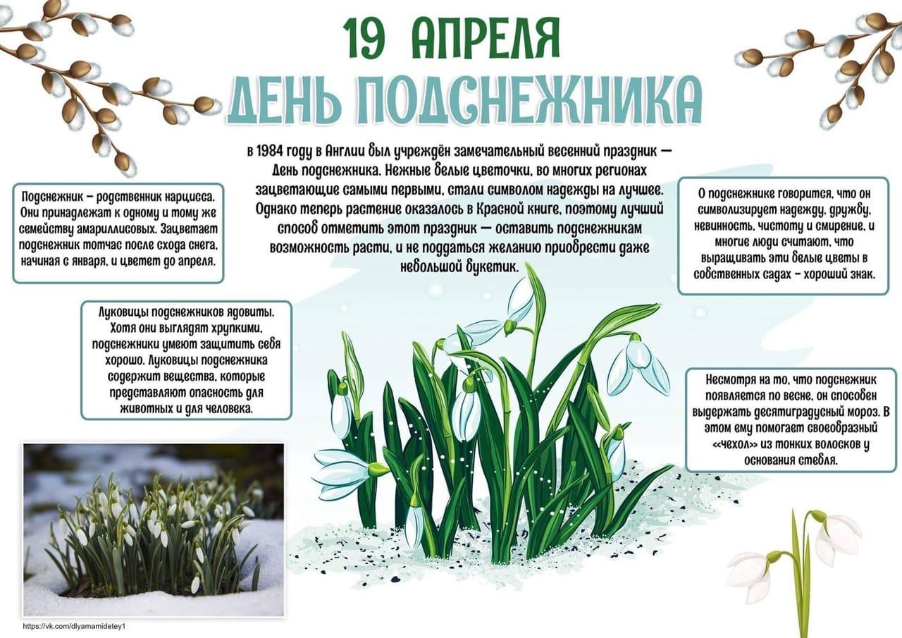 Подснежники - вестники весны!