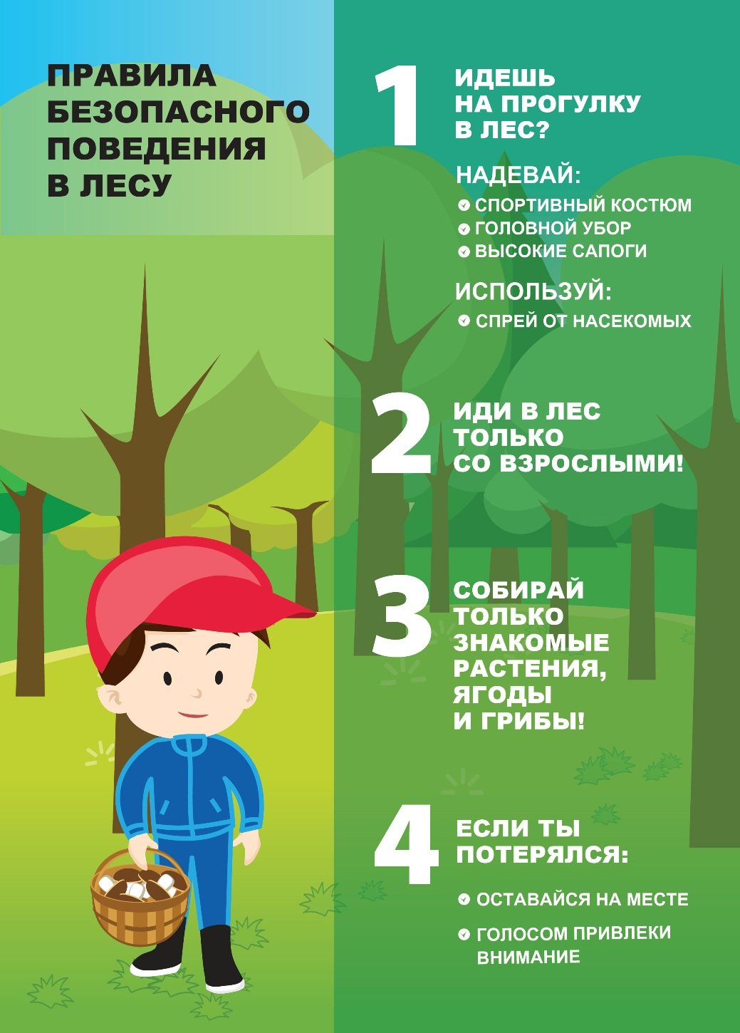 Правила поведения в лесу