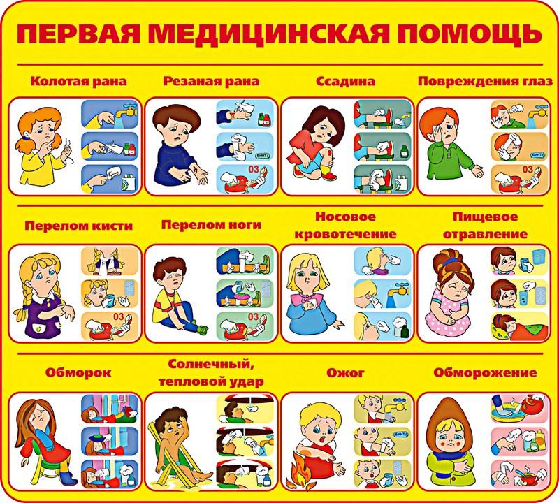 Познавательное лето